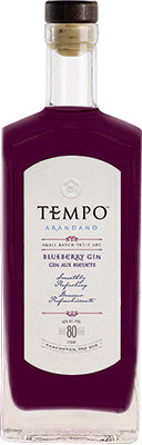 TEMPO ARANDANO BLUEBERRY GIN 750 ML