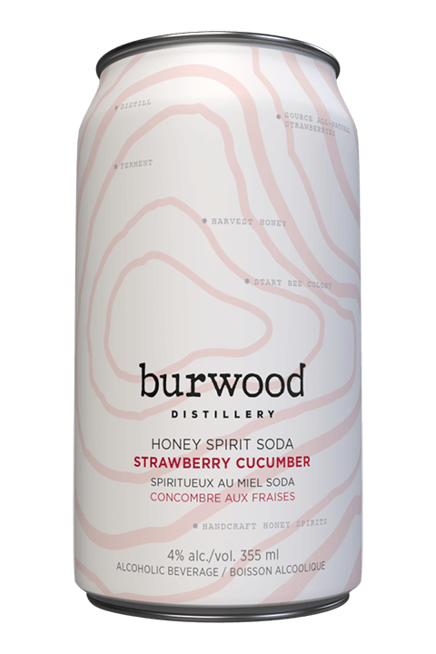BURWOOD STRAWBERRY CUCUMBER 6 CANS